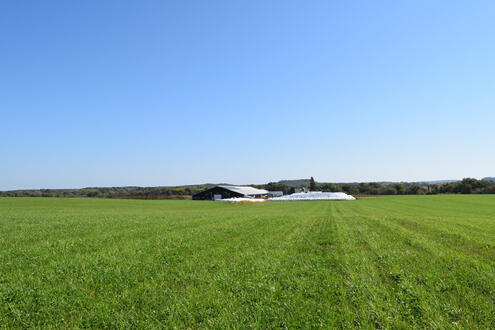 160 acres of adjacent farmland 160 acres of adjacent farmland