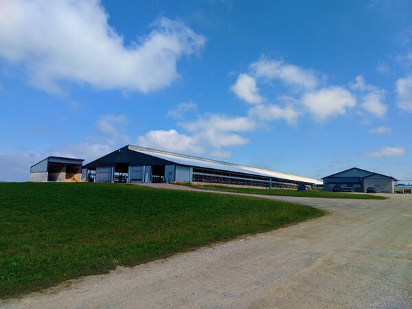 Dairyfarms4sale.com Dairy Farm Hilbert, WI