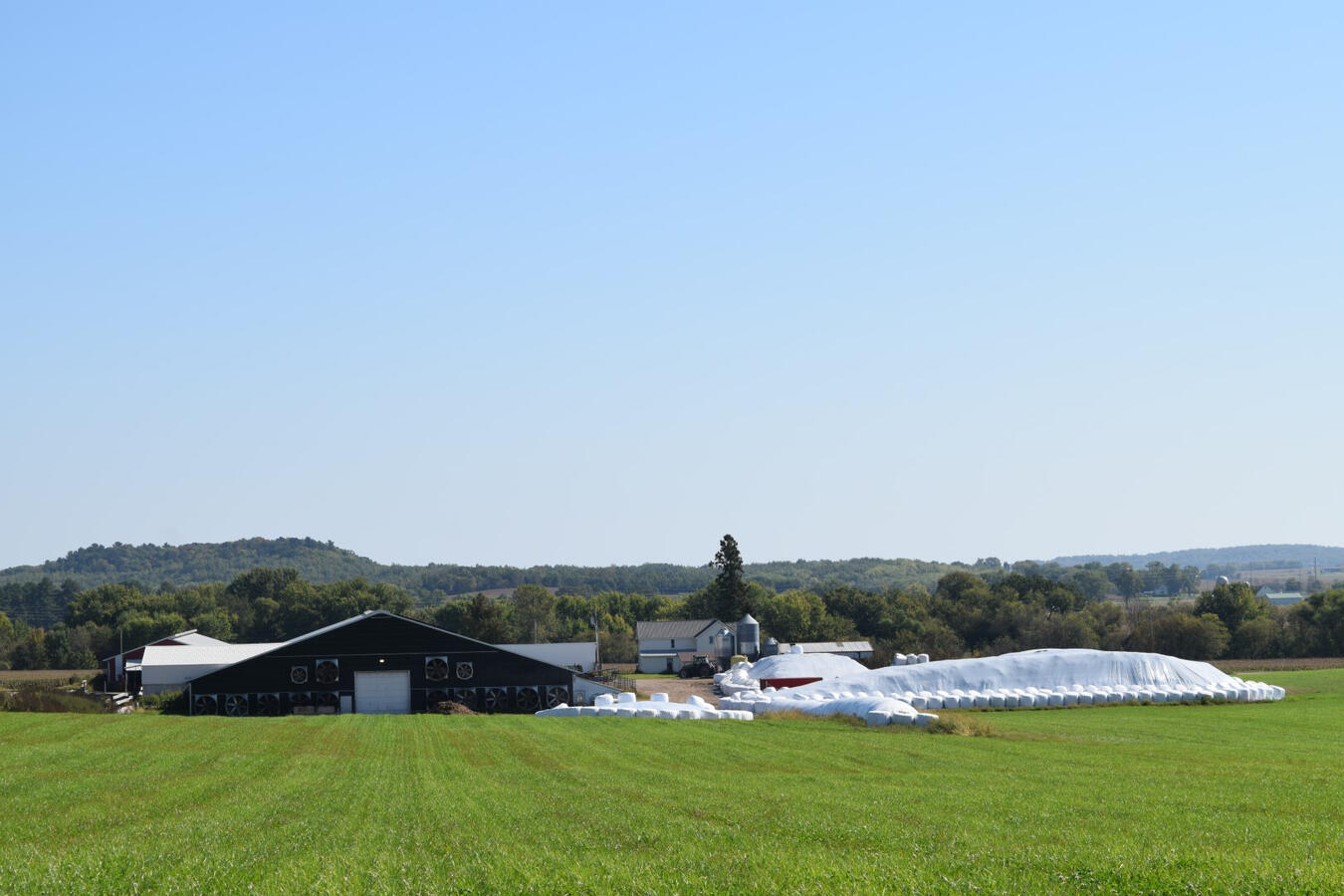 Click on Picture to Enlarge