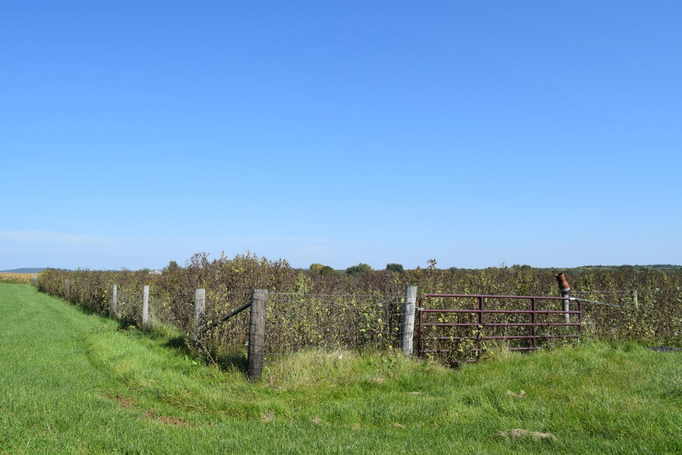 4.5 million gallon manure storage