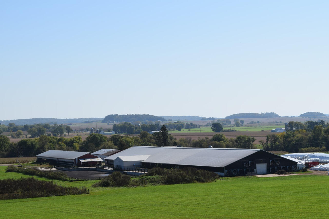 Call Willem 608 415 8402