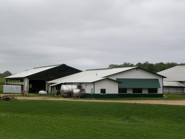 Dairy Farm Elmwood, WI