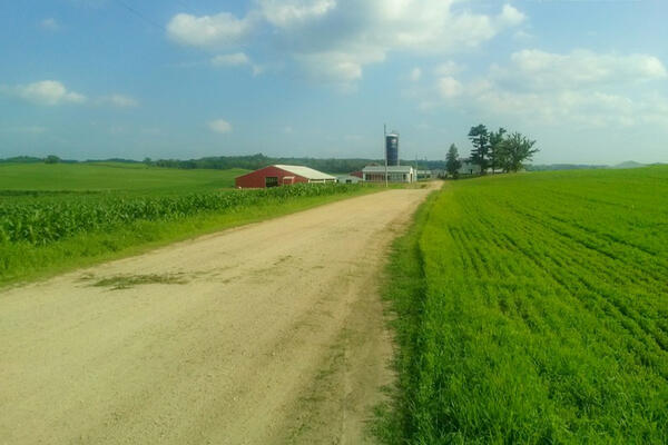 Dairy Farm Strum, WI